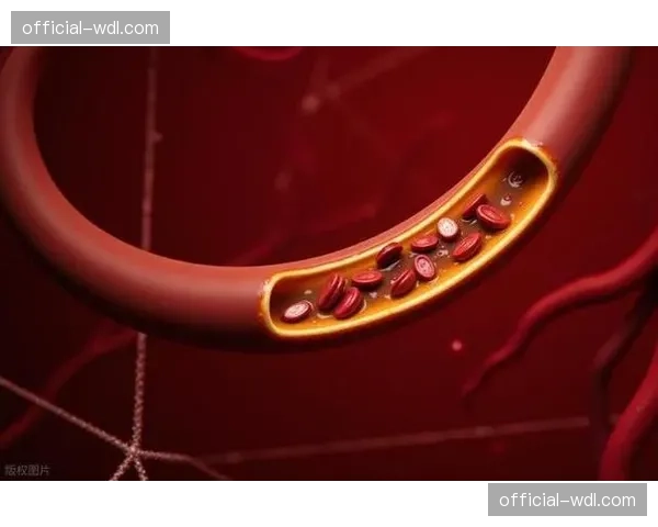 电子计时与影像判罚系统升级，BMX赛事判罚精度进入“毫米时代”