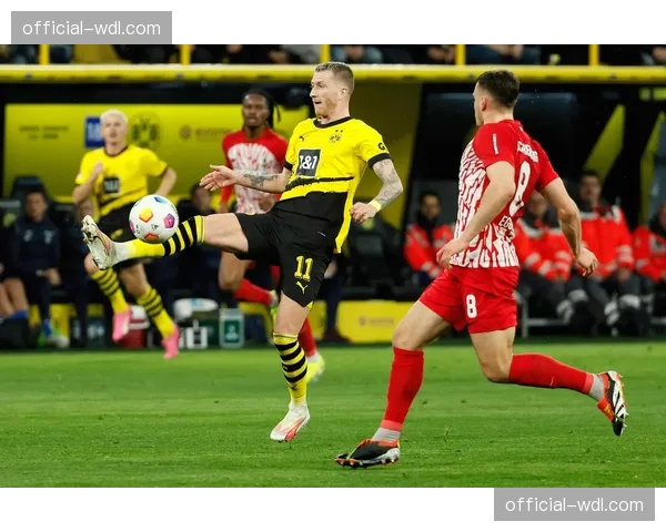 德甲焦点战现暖心一幕：球迷冲入场内拥抱儿时偶像罗伊斯后被安保带离